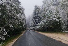 Photo of Danas pretežno oblačno, na planinama slab snijeg