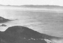 Photo of Mufid Garibija, sarajevski arhitekta i dobar poznavalac historije grada: Smog i zagađenje zraka kroz historiju