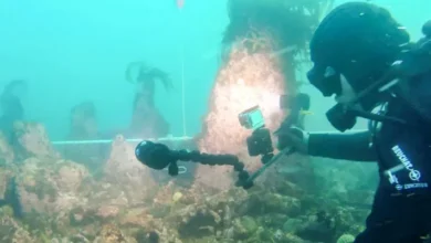 Photo of Oživljena legenda o potopljenim gradovima: U Francuskoj pronađen podvodni zid za koji se smatra da je star 7.000 godina