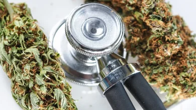 Photo of Šta znači odluka bh. vlasti o legalizovanju upotrebe kanabisa u medicinske svrhe