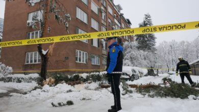 Photo of Formiran predmet zbog smrti žene na koju je palo stablo na Grbavici