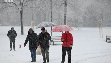 Photo of Mještani Grbavice ogorčeni nakon smrti žene: “Strahujemo i mi, drveće je staro”