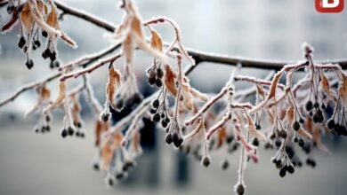 Photo of ZAKOVALO NA MINUS 15: Ledeno jutro u Bosni i Hercegovini, najniža temperatura u…