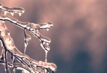 Photo of Poznati meteorolog najavio ledeni val iz Sibira: Spremite se, dolazi drastično zahlađenje