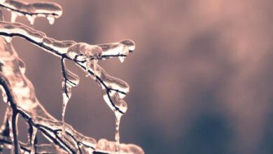 Photo of Poznati meteorolog najavio ledeni val iz Sibira: Spremite se, dolazi drastično zahlađenje