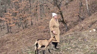 Photo of Sama u pustom selu i bez podrške: Jedinoj povratnici u Odžakoviće u Novom Goraždu klizište ugrozilo štalu