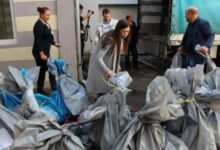 Photo of Ured za žalbe BiH odlučio: “Smartmatic” će brojati glasove na izborima