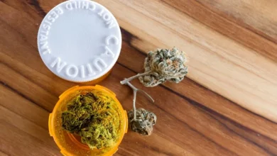 Photo of Dokle je legalizacija medicinskog kanabisa u BiH: Ključni koraci sada u rukama entiteta i Brčko distrikta