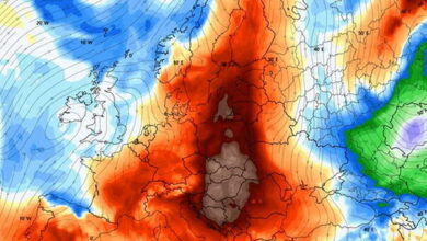Photo of Šef DHMZ-a: Za 10 do 20 godina temperature u Evropi će ići do 50 stepeni