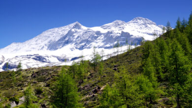 Photo of Nesreća na Elbrusu: Poginuli Alma i Denis Okanović bili supružnici, spasioci traže još jedno tijelo