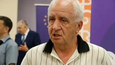Photo of Vehid Šehić: Odgovornost za mali broj registriranih birača iz dijaspore snose političke stranke
