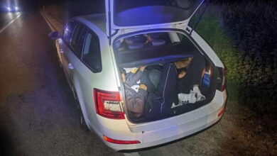 Photo of Naši graničari za godinu spriječili 4.352 osobe da ilegalno uđu u BiH