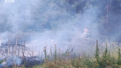 Photo of Goraždanski vatrogasci brzom interevencijom spriječili širenje požara iznad naselja Panorama