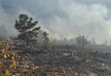 Photo of Dio Trebevića i dalje gori, vatrogasci objavili snimke i fotografije požarišta