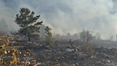 Photo of Dio Trebevića i dalje gori, vatrogasci objavili snimke i fotografije požarišta