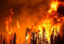 Photo of Dok vatre gutaju Evropu, BiH nedovoljno spremna: Samo FBiH fali više od 250 vatrogasaca