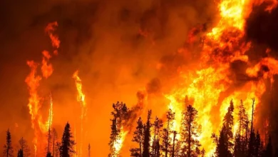 Photo of Dok vatre gutaju Evropu, BiH nedovoljno spremna: Samo FBiH fali više od 250 vatrogasaca