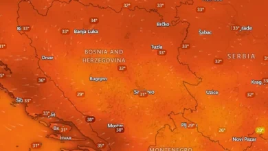 Photo of Poljoprivreda ispašta: Toplotni val uzrokuje velike probleme u BiH, početak augusta najtopliji od 2017. godine