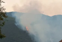 Photo of Požar kod Novog Goražda i dalje aktivan: Vatrogasci tokom noći gasili vatru oko trafostanice