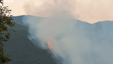 Photo of Požar kod Novog Goražda i dalje aktivan: Vatrogasci tokom noći gasili vatru oko trafostanice