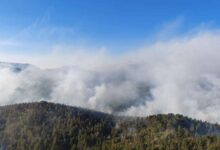 Photo of Neodgovorni pojedinci ili poremećaj: Jedan piroman na svakih sto osoba