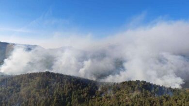 Photo of Neodgovorni pojedinci ili poremećaj: Jedan piroman na svakih sto osoba