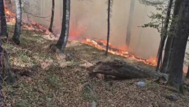 Photo of Požari već 12 dana haraju Krajinom: Vatrogasci i volonteri vode tešku borbu s vatrenom stihijom