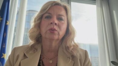 Photo of NEUGODAN ODGOVOR IZ AMERIKE: „Hrvatska desničarska zastupnica Željana Zovko i njena kohorta iz HDZ-a nikada nisu pročitali…“