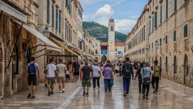 Photo of Slavljenje zločinca ih skupo koštalo: Zbog veličanja Ratka Mladića uhapšena četiri državljanina BiH u Dubrovniku