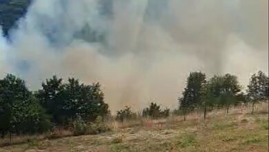 Photo of Povratnici na područje Foče apeluju: Vatrena stihija se približava kućama