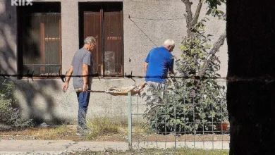 Photo of Epilog okretanja praseta u Zemaljskom muzeju: Jedna osoba kažnjena sa 200 KM, sve inspekcije se proglasile nenadležnim
