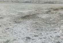 Photo of Snijeg zabijelio i Vlašić posljednjeg dana ljeta