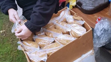 Photo of U Berkovićima zaplijenjena više od tona nelegalnog duhana, uhapšena jedna osoba