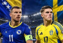 Photo of Zmajevi dočekuju Švedsku u Zenici, cijela BiH želi uveličati oproštaj Edina Džeke od reprezentacije