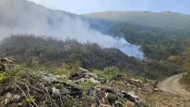 Photo of Pulmologinja u Goraždu upozorava: Dim sa Šišeta može ozbiljno ugroziti zdravlje, posebno hroničnih bolesnika