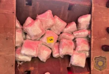 Photo of Pripadnici FUP-a u šleperu pronašli više od 100 kilograma droge, uhapšena jedna osoba iz Konjica