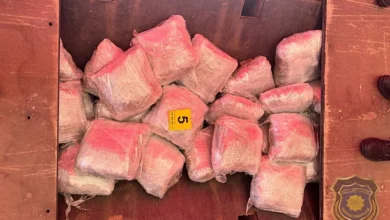 Photo of Pripadnici FUP-a u šleperu pronašli više od 100 kilograma droge, uhapšena jedna osoba iz Konjica