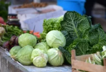 Photo of Cijene hrane porasle i do 30 posto: Zimnica je ove jeseni ozbiljan udar na kućni budžet, isplati li se pripremati je?