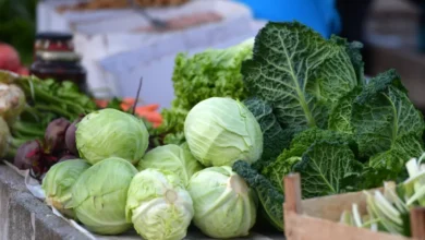 Photo of Cijene hrane porasle i do 30 posto: Zimnica je ove jeseni ozbiljan udar na kućni budžet, isplati li se pripremati je?